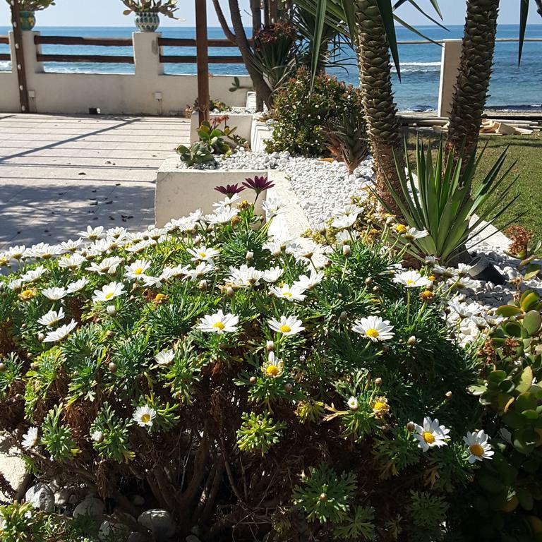 Hotel E Residence Il Faro أكيارولي المظهر الخارجي الصورة